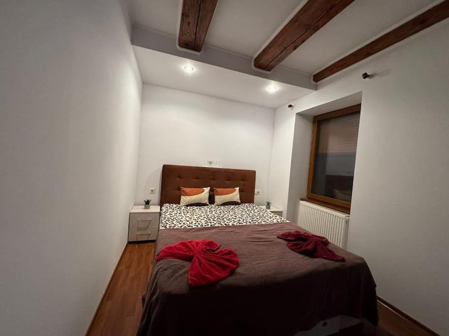 Iazi Apartament براشوف المظهر الخارجي الصورة