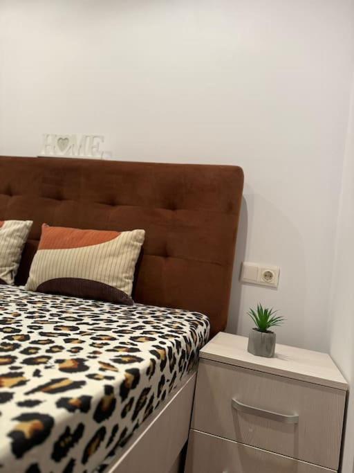 Iazi Apartament براشوف المظهر الخارجي الصورة