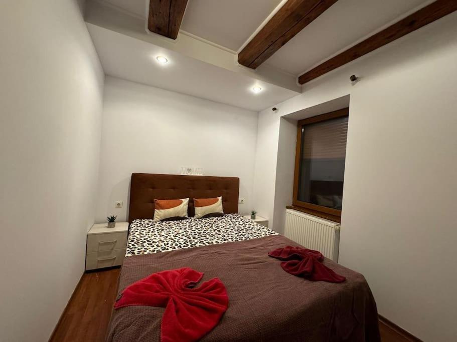 Iazi Apartament براشوف المظهر الخارجي الصورة