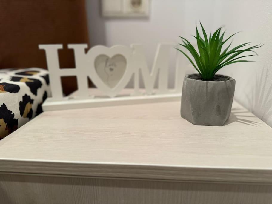 Iazi Apartament براشوف المظهر الخارجي الصورة
